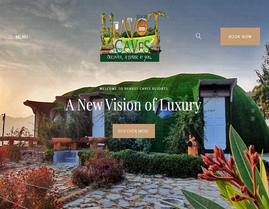 Web design company in India